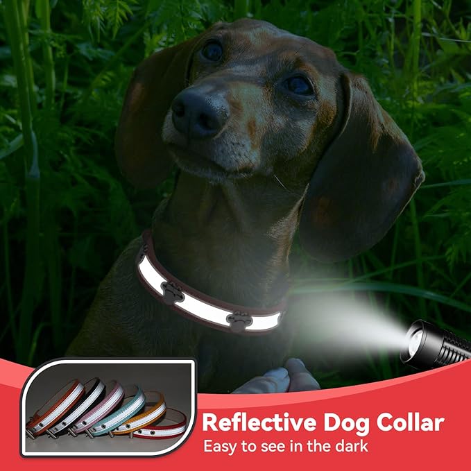 PETCARE Reflective Dog Collar with Cute Paw Rivet Studded Funny Soft PU Leather Adjustable Puppy Dog Collars for Small Medium Large Dogs Cats (Red,XX-Large)