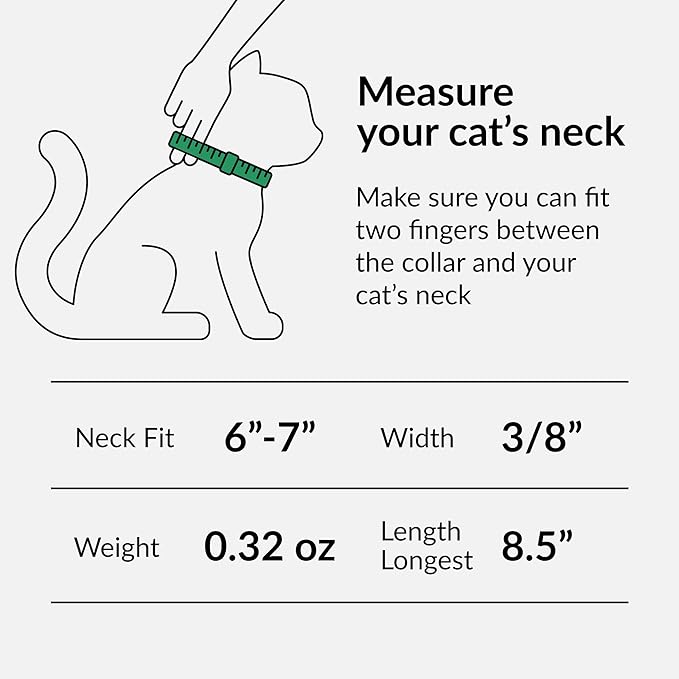 CollarDirect Leather Cat Collar with Bell - Kitten Collar, Small and Big Cat Collar for Boy Cats, Girl Cats with Safety Elastic Strap (Neck Fit 6"-7", Mint Green)