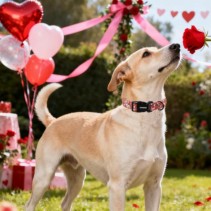 DOGWONG Red Flower Dog Collar, Cute Adjustable Floral Collar, Girl Female Dog Collar with Strong Plastic Buckle for Small Medium Large Dogs,L