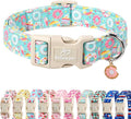 Adjustable Summer Dog Collar, Cute Mint Dessert Dog Collars for Giant Large Dogs, Lightweight Quick-Release Buckle Collar for Boy&Girl Dogs XL