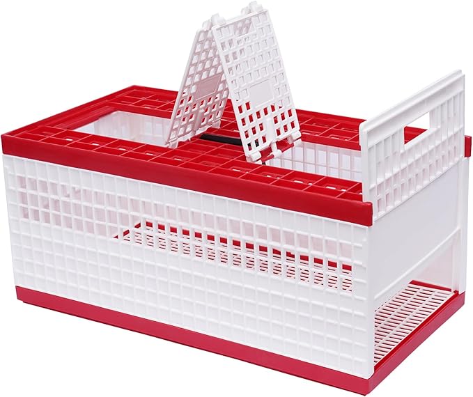 Plastic Foldable Pigeon Carrier Cage, Racing Pigeon Carrier Box with Handle 23.6"X12.2"X10.2" Portable Bird Travel Carriers Cage Bird Training Basket with 2 Side Doors and 2 Top Department