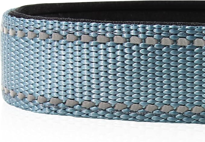 Joytale Reflective Dog Collar, Soft Neoprene Padded, Metal D-Ring, Nylon Pet Collar Adjustable for Large Dogs, Gray, L