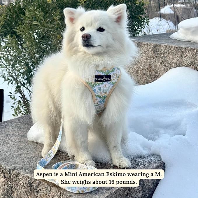 Lucy & Co. Sunshine and Daffodils Reversible Dog Harness, Adjustable Comfort Fit with Dual Leash Attachments, X-Large