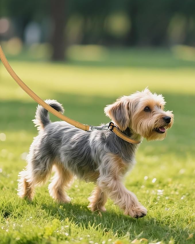 Joytale Small Dog Collar, Reflective and Adjustable Nylon Collar with Quick-Release Buckle, Lightweight No-Choke Design for Small Dogs, Khaki, 5/8" Width