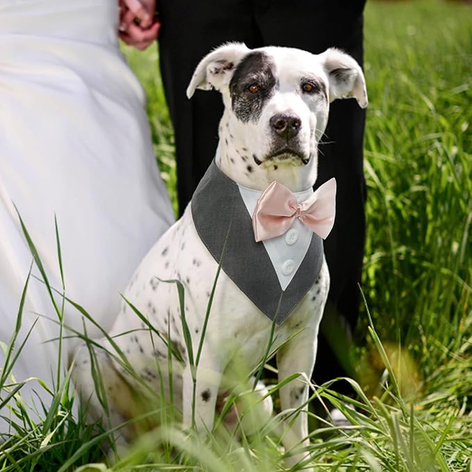 FUAMEY Dog Tuxedo for Large Dogs,Dog Formal Suit Dogs Attire Pet Bow Tie Puppy Party Costumes Cat Tux Outfits Pets Bandana Cosplay Adjustable Bowties Wedding Birthday Valentines Grey L