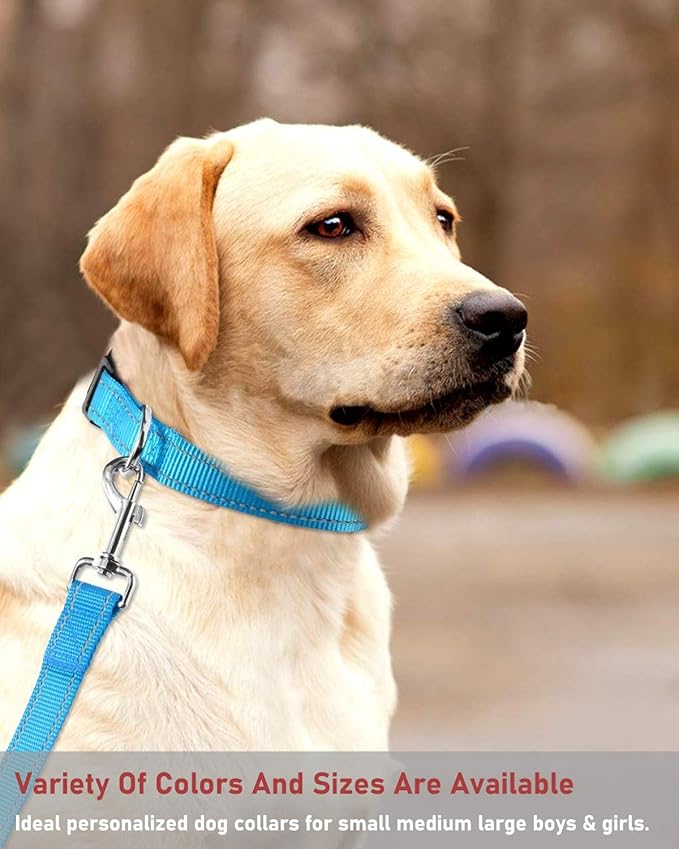 Reflective Dog Collar with Buckle Adjustable Safety Nylon Collars for Small Medium Large Dogs, Blue XL