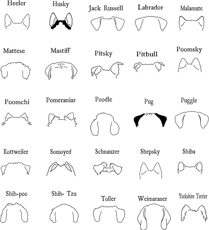 Personalized Embroidered Dog Hoodie, Personalised One-Line Dog Shirt, Unisex Embroidered Dog Hoodie, Dog Lovers Gifts