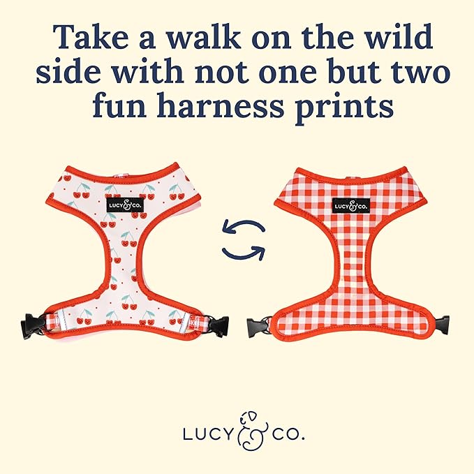 Lucy & Co. Cheery Cherries, Cute Reversible Dog Harness Walking Halter - Best Designer Pet Harnesses for XS - XL Dogs - Padded Adjustable Vest for Easy Walking (Medium)