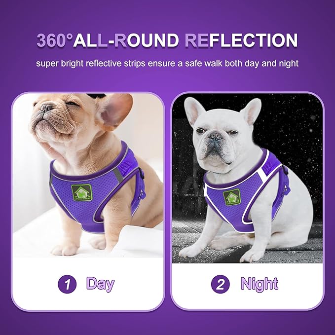 FEimaX Dog Harness and Leash Set, No-Pull Breathable Soft Mesh Puppy Vest Harness Reflective Adjustable Pet Harnesses for Small Medium Dogs and Cats - Outdoor Easy Control for Walking (XS, Purple)