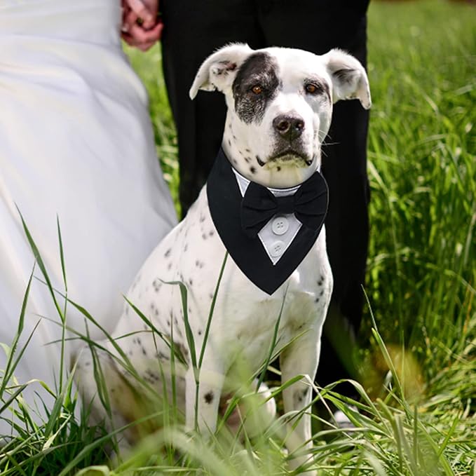 FUAMEY Dog Tuxedo for Medium Dogs,Dog Formal Suit Dogs Attire Pet Bow Tie Puppy Party Costumes Cat Tux Outfits Pets Bandana Cosplay Adjustable Bowties Wedding Birthday Valentines Black M
