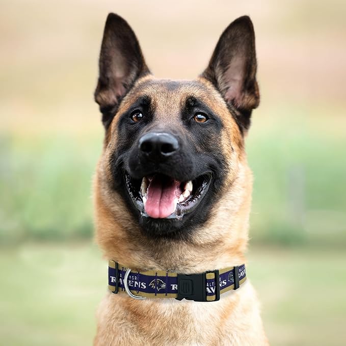 New & Improved Pets First NFL Licensed PET Collar- Heavy-Duty, Strong, and Durable New Dog Collar. Available in 32 Football Teams and 4 Sizes