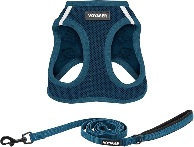 Best Pet Supplies Voyager Step-in Air All Weather Mesh Harness and Reflective Dog 5 ft Leash Combo with Neoprene Handle, for Small, Medium and Large Breed Puppies - Harness Leash Set (Blue), M