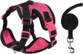 Cat Harness and Leash Set for Walking – Escape-Proof Reflective Vest for Cats and Small Dogs, Adjustable Soft Air Mesh with Pressure-Reducing Design, 4.92ft (Black & Rose, XL)