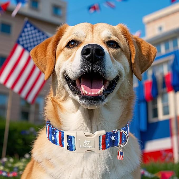 4th of July Dog Collar, Stars & Stripes Patriotic Dog Collars for Large Dogs, Adjustable Lightweight Quick-Release Buckle Collar for Boy&Girl Dogs L