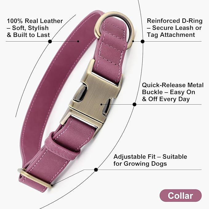 Plutus Pet Genuine Leather Dog Collar – Adjustable Pet Collar with Quick Release Metal Buckle, Soft Real Leather for Small Medium Large Dogs, Heavy Duty & Skin-Friendly (Purple, L)