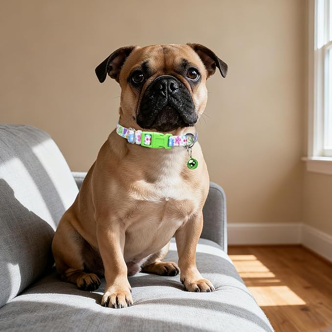 Small Dog Collar with Bell，Nylon - Adjustable XXS/XS/S Tiny Dog & Cat Collar for Small Breeds,Soft Pink Collar with Quick-Release Buckle（Spring XS）