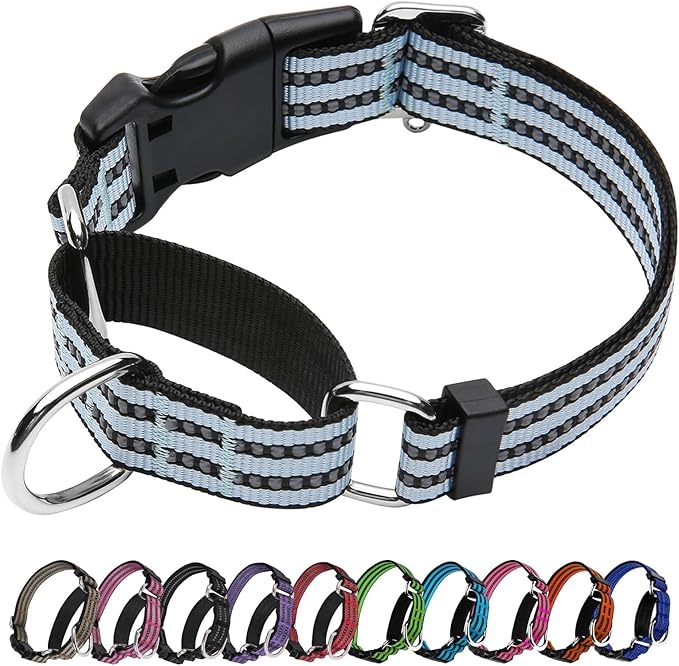 Martingale Dog Collar, Adjustable Nylon Reflective Collar with Quick Release Buckle (Ice Blue, Small)