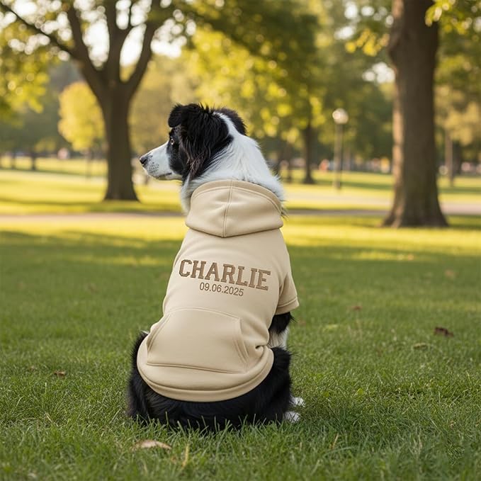 Personalized Dog Hoodie, Custom Embroidered Name Pet Hoodie, Warm Winter Outfit for Dogs, Pet Clothes, Gift for Dog Lovers 3