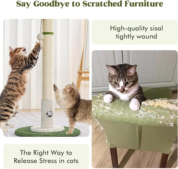 Cat Scratching Post for Indoor Cats and Kitten - 35.43" Tall Cat Scratching Post with Sisal Rope,Palm Tree Cat Scratch Post with Hanging Ball (35.4-White, 35.4in)
