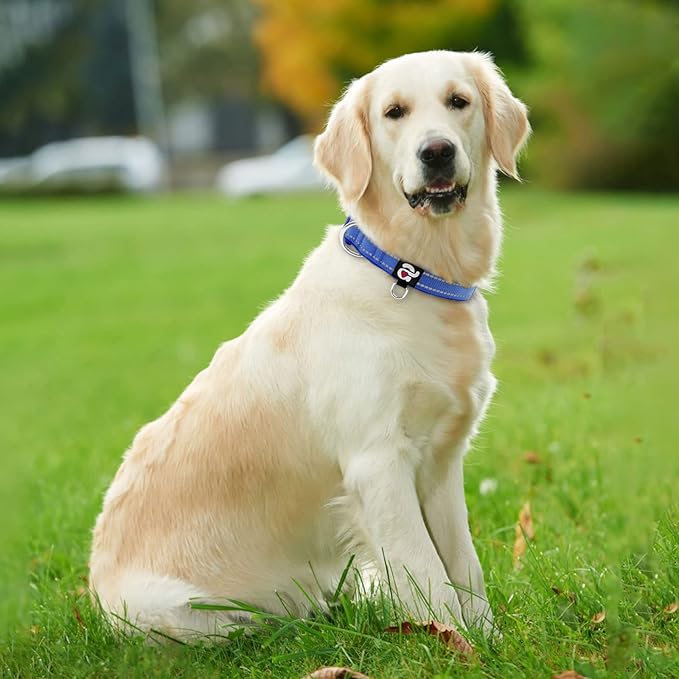 azuza Reflective Dog Collar,Soft Neoprene Padded Pet Collar with ID Tag Ring,Adjustable for Large Dogs,Royal Blue,L