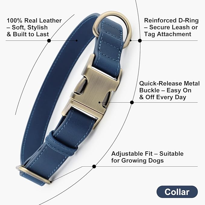 Plutus Pet Genuine Leather Dog Collar – Adjustable Pet Collar with Quick Release Metal Buckle, Soft Real Leather for Small Medium Large Dogs, Heavy Duty & Skin-Friendly (Royal Blue, L)