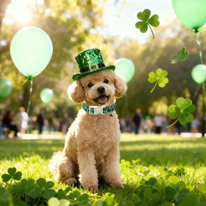 St Patricks Day Dog Collar for Medium Dogs - Green Lucky Clover Dog Collars, Lightweight Adjustable Irish Festival Shamrock Dogs Collars with Quick Release Buckle M