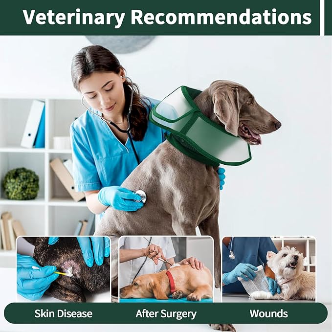 Allroaring Dog Cone, Soft Dog Cones for Small Dogs, Adjustable Doggie Cone Collar to Stop Licking, Professional Pet Recovery Cones E-Collar for Dogs Aftert Surgery Wound Healing, Green S