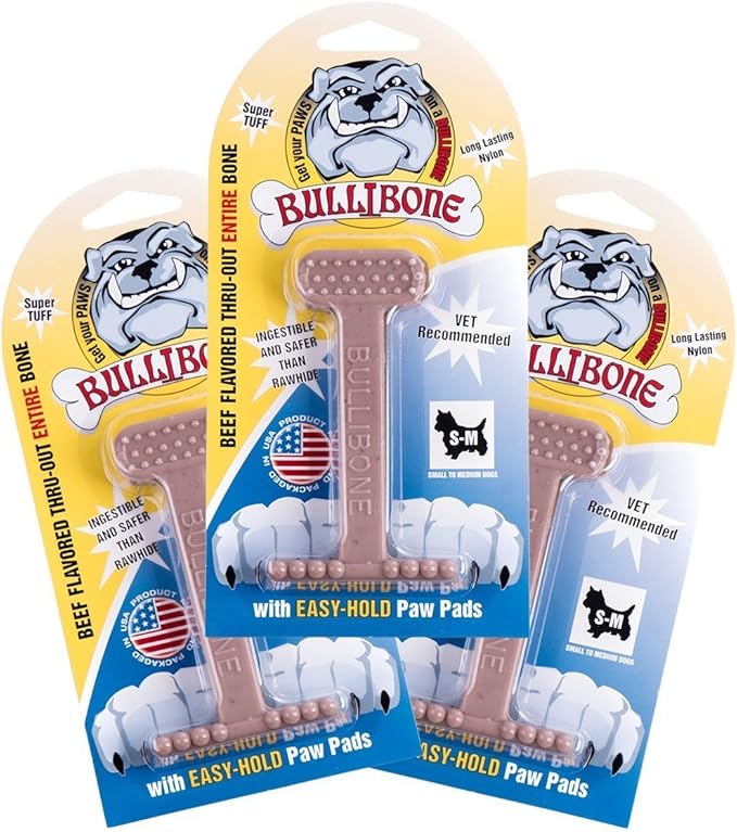 Bullibone Nylon Dog Chew Toy for Aggressive Chewers - Dental Hygiene Bone with Beef Flavor, Durable Tough Chew Toys for Small Dogs, Indestructible Dog Bone - 3 Pack