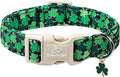 St Patricks Day Dog Collar for Medium Dogs - Green Lucky Clover Dog Collars, Lightweight Adjustable Irish Festival Shamrock Dogs Collars with Quick Release Buckle M