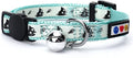 Pawtitas Glow in The Dark Cat Collar with Breakaway Safety Buckle & Bell Adjustable Kitten Collar, Teal