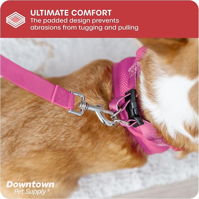 Downtown Pet Supply Step-in Dog Harness – No Pull, Adjustable Padded Mesh with Reflective Trim, Secure Buckle Strap – Comfortable & Breathable Small Dog Harness, Small, Pink