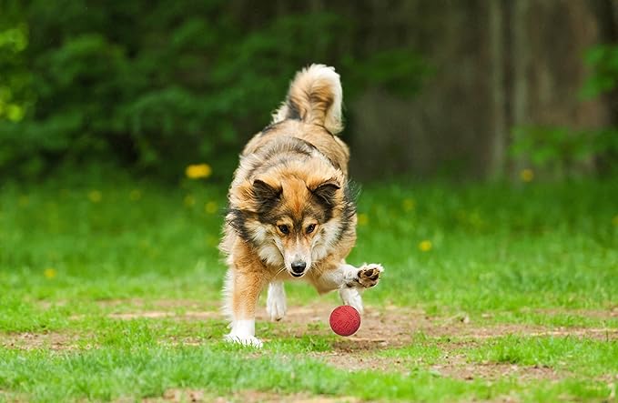 Snug Rubber Dog Balls for Small and Medium Dogs - Tennis Ball Size - Virtually Indestructible (3 Pack - Fresh)