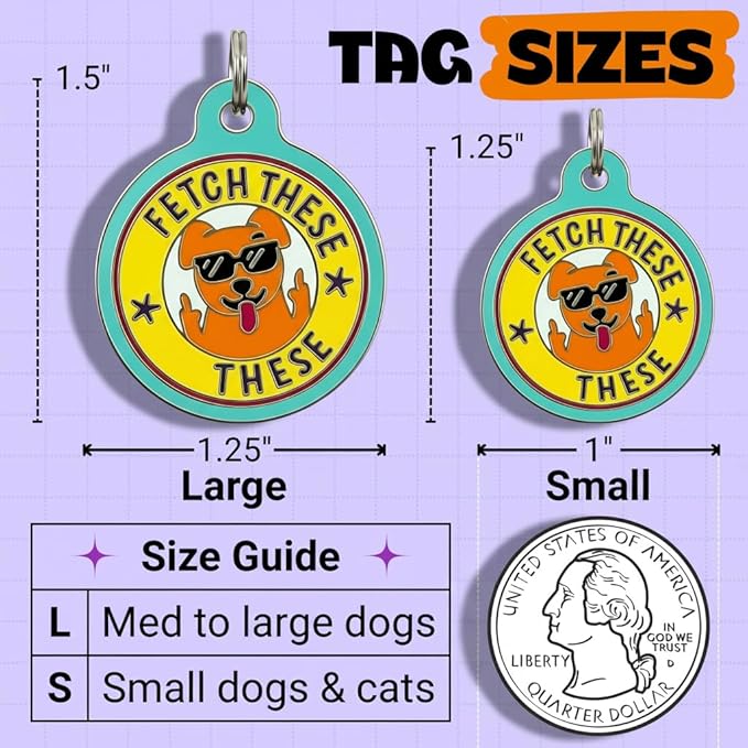 Bad Tags Personalized Dog and Cat ID Tags in 25+ Designs and 2 Sizes - 5 Lines of Custom Engraved Text - Funny Cute Personalized Pet Tags (Fetch These, Large (1.25 inch))