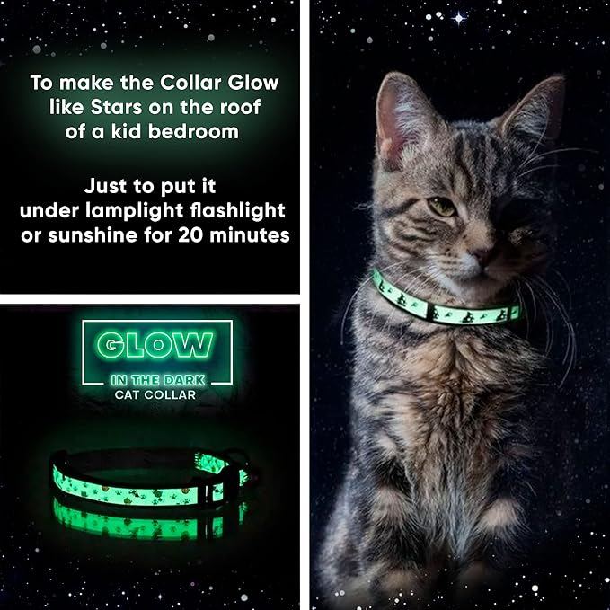 Pawtitas Glow in The Dark Cat Collar with Breakaway Safety Buckle & Bell Adjustable Kitten Collar, Pink