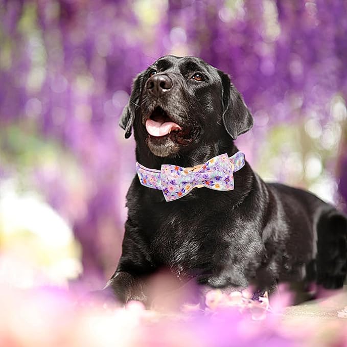 Elegant little tail Dog Collar, Rose Print Pet Collar Summer Dog Collar Durable Metal Buckle Dog Collars Cotton Pet Adjustable Dog Collars for Large Dogs