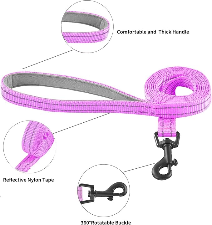 Hipubby Dog Harness and Leash Set, No Pull Soft Mesh Puppy Harness for Small Medium Dogs, Cats - Step in Reflective Breathable Lightweight Vest Harness for Walking, Training - Purple, S