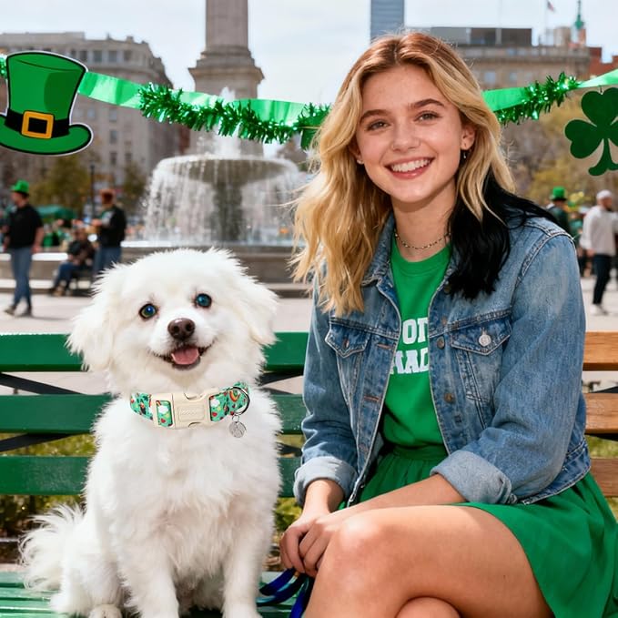 DOGWONG St. Patrick's Day Dog Collar, Lucky Clover Shamrock Green, Small, Soft Durable Adjustable Costume, Breakaway Closure