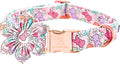 Lionheart glory Easter Day Dog Collar with Flower Dog Collar for Small Dogs, Rabbits Colorful Dogs Collars Flowers Spring Collars Puppy Flowers
