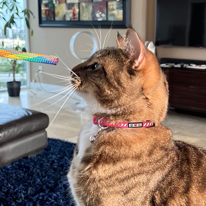 Pawtitas Personalized Black Reflective Cat Collar – Adjustable Custom Collar with Safety Buckle, Removable Bell, and Engraved Name & Phone Number for Kittens and Adult Cats