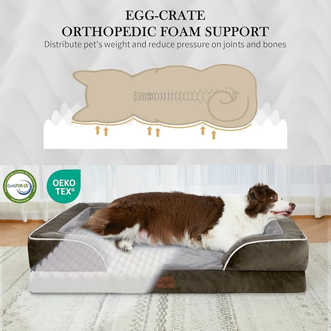 Comfort Expression Orthopedic Dog Bed for Extra Large Dogs 42x30 Inch, Waterproof Egg Crate Foam XL Pet Bed with Removable Bolsters, Dog Couch with Washable Cover & Non-Slip Bottom, Dark Green
