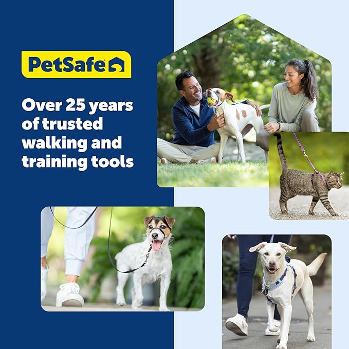 PetSafe Gentle Leader Headcollar No-Pull Dog Collar - Helps Improve Walks - Durable Nylon Construction - Padded Nose Loop - Adjustable Fit - Comfort Walking Halter - Small, Royal Blue