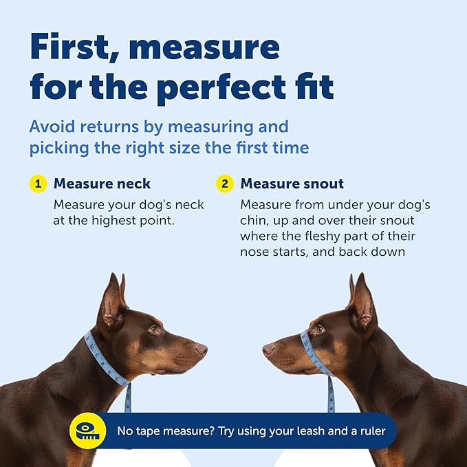 PetSafe Gentle Leader Headcollar No-Pull Dog Collar - Helps Improve Walks - Durable Nylon Construction - Padded Nose Loop - Adjustable Fit - Comfort Walking Halter - Large, Charcoal