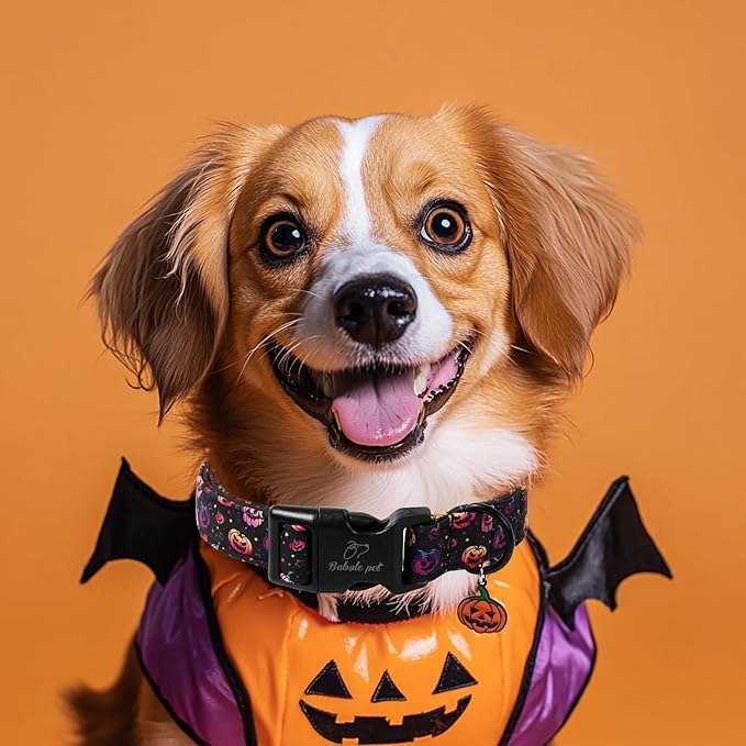 Halloween Dog Collar Spooky Fun Pumpkin Puppy Collar - Light Comfortable Adjustable Pet Collars for Small Medium Large Girl Boy Dogs L