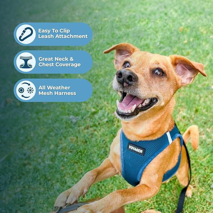 Best Pet Supplies Voyager Step-in Air All Weather Mesh Harness and Reflective Dog 5 ft Leash Combo with Neoprene Handle, for Small, Medium and Large Breed Puppies - Set (Turquoise), XL