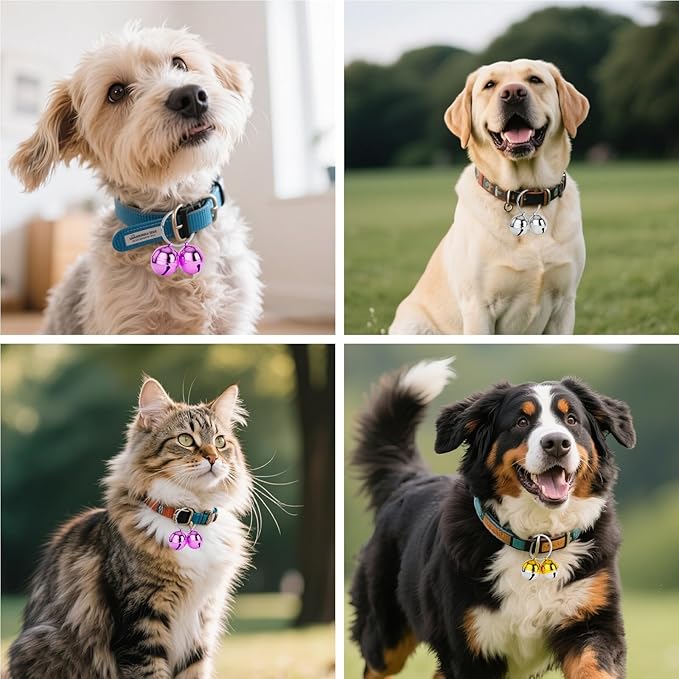 Dog Collar Bells, 2 Pack Extra Loud Dog & Cat Bells for Tracking & Safety, Stainless Steel Pet Tracker Training Bells for Small Medium Large Dogs & Cats (Multi-Color)
