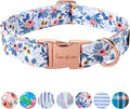 Unique Style Paws Metal Buckle Rose Collar - Durable & Cute for Small to Large Dogs