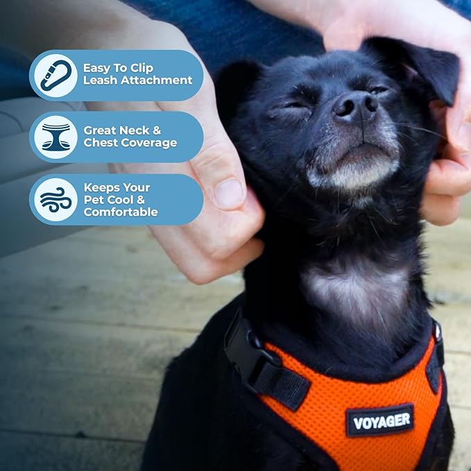 Voyager Step-in Pet Harness - All Weather Mesh, Adjustable Step in Harness for Cats and Dogs by Best Pet Supplies - Orange/Black Trim, L