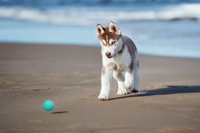 Snug Rubber Dog Balls for Small and Medium Dogs - Tennis Ball Size - Virtually Indestructible (3 Pack - Aqua)