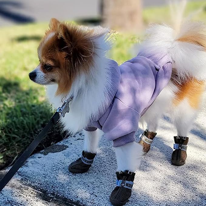 Jecikelon Winter Dog Hoodie Sweatshirts with Pockets Warm Dog Clothes for Small Dogs Chihuahua Coat Clothing Puppy Cat Custume (Purple, X-Large)
