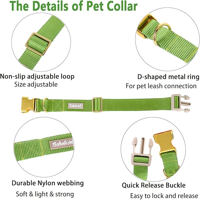 Nylon Dog Collar - Adjustable Green Soft Webbing Dog Collars for Small Medium Large Dogs Boy Girl Puppy Collar with Safety Metal Buckle M